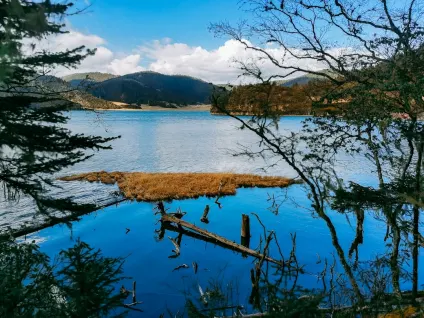 WagonBet Kasíno Mobilná aplikácia